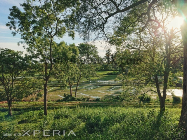 xperia xz3